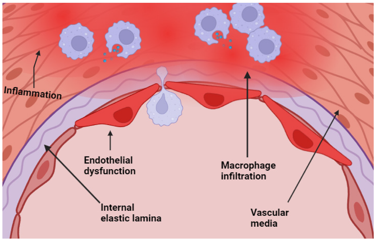 Saudi Medical Journal