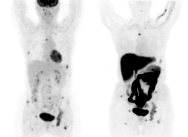 Saudi Medical Journal