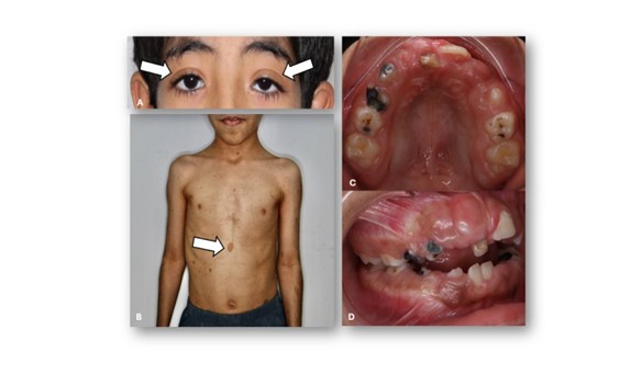 Saudi Medical Journal