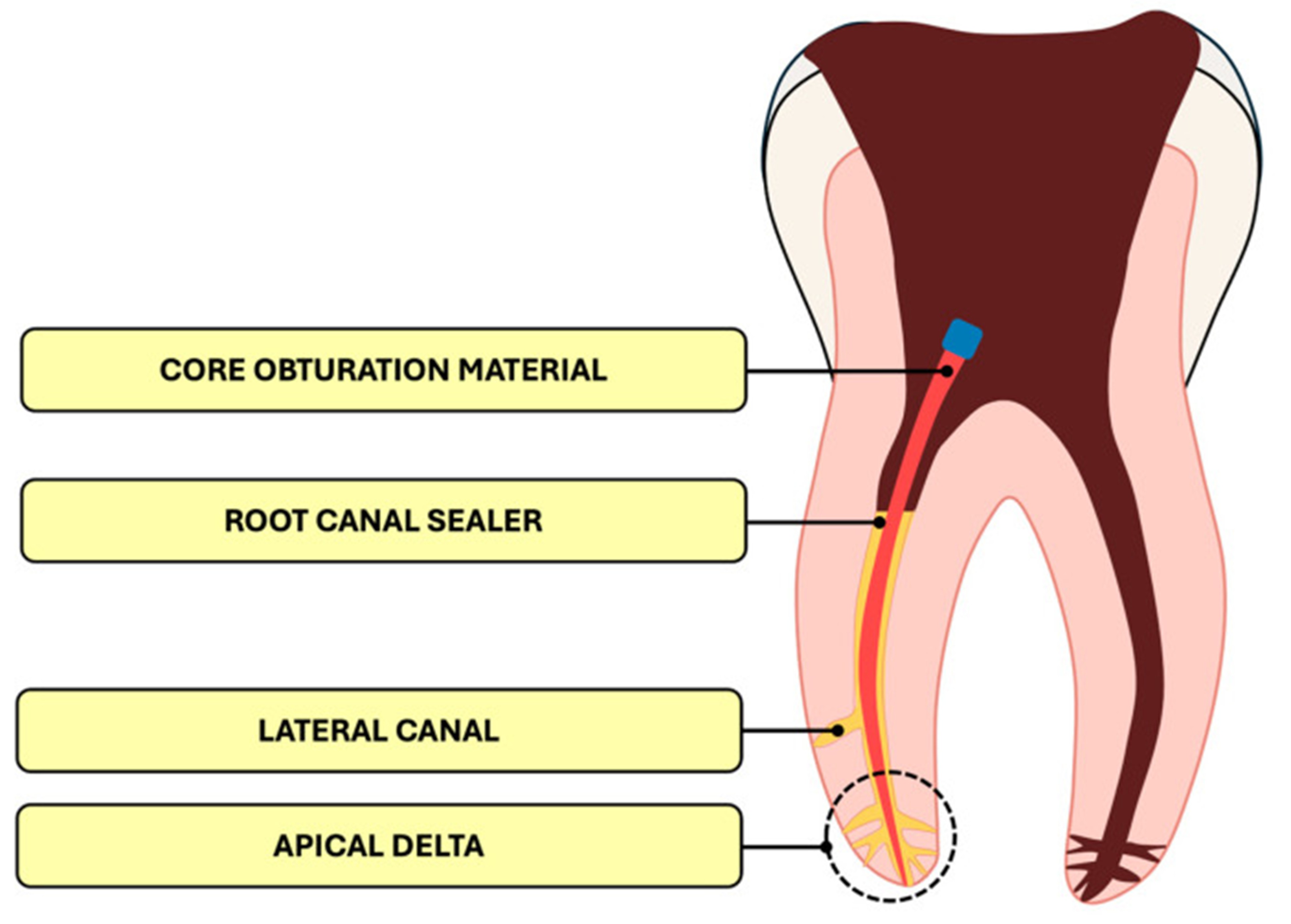 Saudi Medical Journal