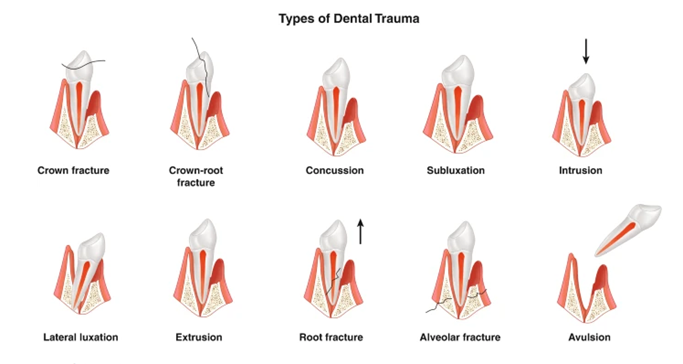 Saudi Medical Journal